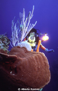 A big sponge with a gorgonian and a videographer shooting... by Alberto Romeo 